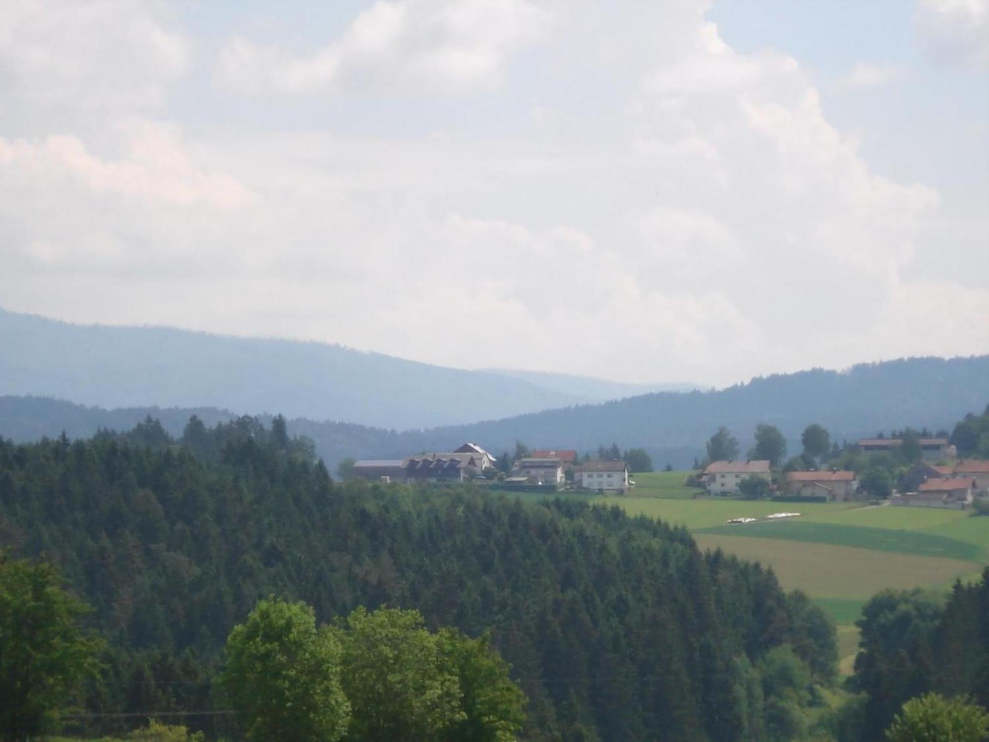 Ferienwohnung Rachel Mit Herrlichem Ausblick Rinchnach Экстерьер фото
